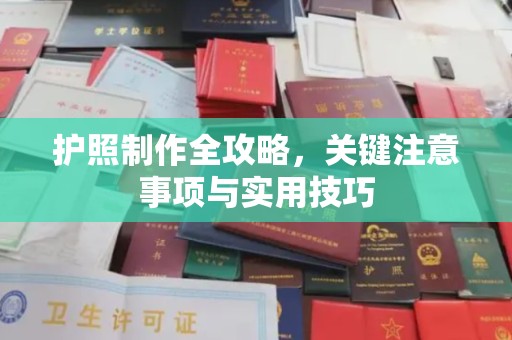 钦南护照制作全攻略，关键注意事项与实用技巧